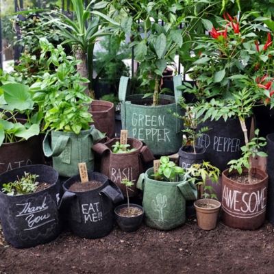 【5/25sun】お気に入りのハーブを育てよう | ワークショップ開催のお知らせ