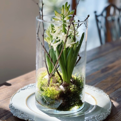 【2/15sun】芽出し球根の楽しみ | ワークショップ開催のお知らせ